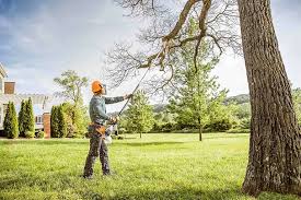  Inkerman, PA Tree Removal and Landscaping Services Pros